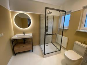 a bathroom with a shower and a sink and a toilet at Zum Schlossgarten in Ralswiek +19 photos