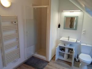 a bathroom with a shower and a sink and a toilet at Le Relais de Poste in Orbigny