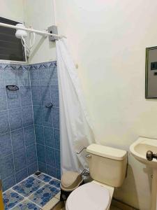 a bathroom with a toilet and a shower at Hostal Inmaculada in Concepción de Ataco