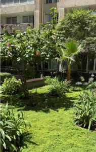 a garden with flowers and plants in front of a building at Inversiones Inmobiliarias AYD in Santiago
