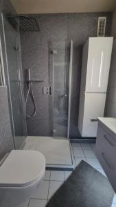a bathroom with a shower and a toilet at Ferienwohnung Wattkieker inklusive Strandkorb in Büsum +31 photos