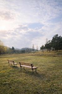 two park benches sitting in a field of grass at Mohh prostir vidpochinky in Mohnate +9 photos