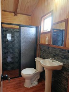 a bathroom with a toilet and a sink and a shower at cabaña zoila N in Coñaripe