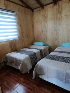 two beds in a wooden room with a window at cabaña zoila N in Coñaripe
