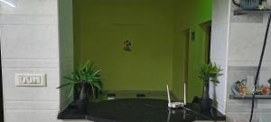 a green room with two potted plants in it at Close2heaven 3 bedroom privacy Home with a hall and a paid kitchen in Kodaikānāl +38 photos
