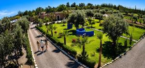 two people walking through a park with palm trees at Villa Léa in Marrakesh