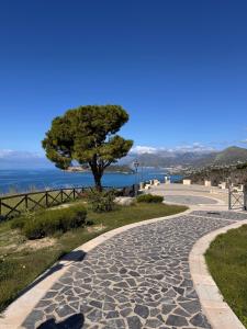 a tree on the side of a path with the ocean in the background at La Scaletta - Charming Historic Center Home - Mountain View in San Nicola Arcella