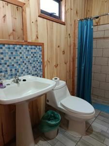 a bathroom with a sink and a toilet and a shower at cabaña zoila ch in Coñaripe