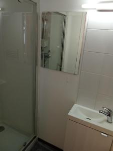 a bathroom with a shower and a sink and a mirror at Le Relais de Jeanne in Orbigny