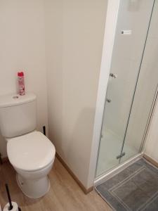 a bathroom with a toilet and a shower at Le Relais de Louis in Orbigny