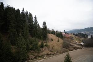 a view of a mountain with trees and a road at Loft & SPA resort ROOMs in Palyanytsya