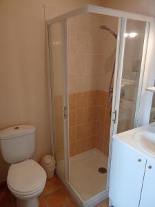 a bathroom with a shower and a toilet and a sink at Le Relais du Jardin in Orbigny