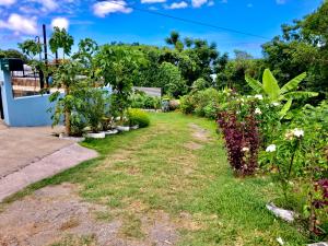 a garden with plants and flowers in a yard at Ti Caz Bana in Le Tampon