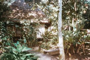 a garden with a bench in front of a house at CHUNAKI ECOLODGES - Authentic Activities and Food in the Amazon in Zaragoza