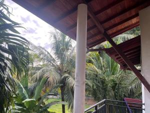 a view of palm trees from the porch of a house at Dissanayaka house in Nikawatawana