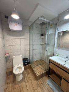 a bathroom with a shower and a toilet and a sink at Хрю-хрю in Brovary +42 photos