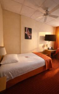 una camera d'albergo con un letto e una TV a schermo piatto di Hôtel Foch a Lione Altre 4 foto