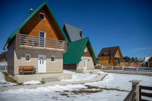 a house with a green roof in the snow at Dubljevic in Žabljak