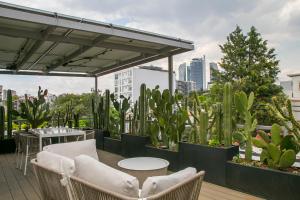 a patio with a table and chairs and cactus at Casa JuliAna in Mexico City