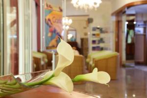 Fotografie z fotogalerie ubytování Hotel Abbazia v destinaci Grado