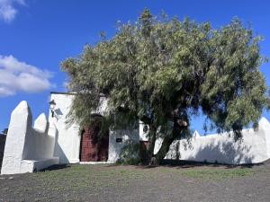 a tree in front of a white building with a red door at Bio Home La Asomada in Tías