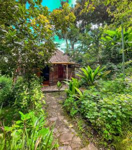 a small house in the middle of a forest at Eco-Hotel Mayachik in San Juan La Laguna