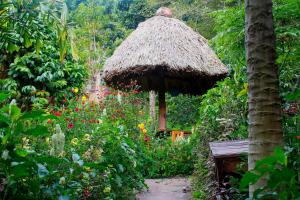 a garden with a straw umbrella and a bench at Eco-Hotel Mayachik in San Juan La Laguna