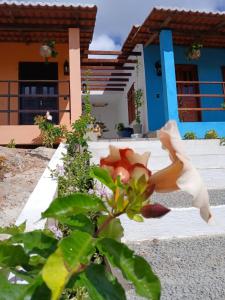 a house with a plant in front of it at Chalés Flor de Mandacaru in Monte das Gameleiras