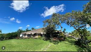 a house with a grass roof on top of a field at POUSADA e HOSTEL SÍTIO PARAÍSO DO CAJU in Barreirinhas