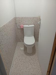 a bathroom with a toilet in a small room at Le studio des pins in Plouézec