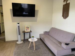 a living room with a couch and a tv on the wall at Villa Shambala Arenal Volcano View Private Pool 6 Guests in Tanque +36 photos