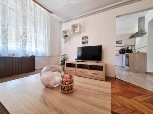a living room with a television and a table at Apartment Drejca in Kobarid