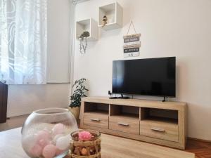 a flat screen tv sitting on top of a wooden entertainment center at Apartment Drejca in Kobarid +8 photos