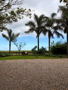 a park with palm trees and a bench at Esperanza Dira's in George