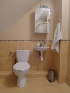 a bathroom with a toilet and a sink at Ostoja Jaczno in Smolniki