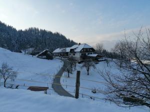a house in a snow covered field with a fence at Marjetina gozdna hiška in Gager