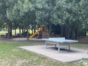 eine Tischtennisplatte in einem Park mit Rutsche in der Unterkunft De Durme in Temse