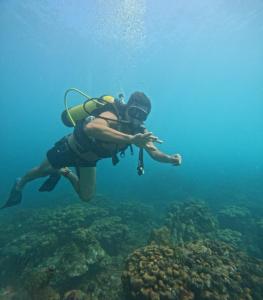 a man is diving over a coral reef at Pikua Beach Baru in Playa Blanca