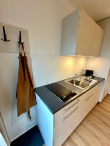 a white kitchen with a sink and a counter at Hirsere Studio 2 in Ursenbach
