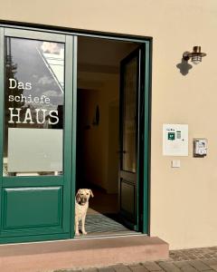 a dog standing in the doorway of a store at Ferienwohnung Heppenheim mit Hund- Wohnung "Odenwald" mit 2 Schlafzimmern- Das schiefe Haus in Heppenheim an der Bergstrasse