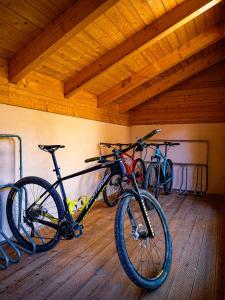 a group of bikes parked in a room at Apartmanový dům 13 Podkroví 1 in Seč