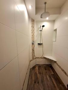 a walk in shower in a room with white walls at Ferienwohnung Till in Mölln