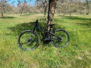 a bike parked next to a tree in a field at Ferienwohnung Heppenheim mit Hund- Wohnung "Odenwald" mit 2 Schlafzimmern- Das schiefe Haus in Heppenheim an der Bergstrasse