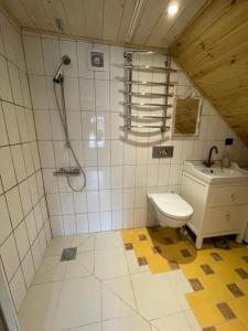 a bathroom with a shower and a toilet and a sink at Skansen in Vilnius