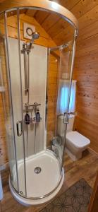 a shower in a bathroom with a toilet at Ocean View Glamping Pod in Borve