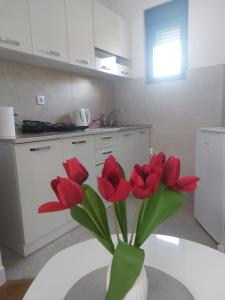 a vase with red flowers sitting on a table in a kitchen at Aria Apartmani in Podgorica