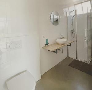 a bathroom with a toilet and a sink and a shower at Het arrangement in Wemeldinge +43 photos