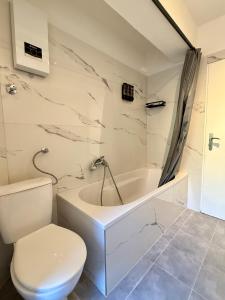 a white bathroom with a toilet and a bath tub at Business Apartment City 5 Betten & Parkplatz in Lüdenscheid