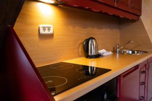 a kitchen with a stove and a sink at Apartments Belopeški Dvori in Kranjska Gora +94 photos
