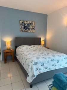 a bedroom with a bed with a blue and white comforter at Villa del Carmen Boqueron in Cabo Rojo